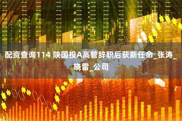配资查询114 陕国投A高管辞职后获新任命_张涛_晓雷_公司