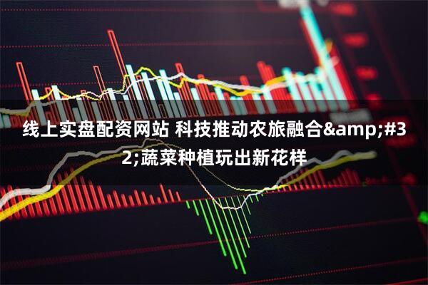 线上实盘配资网站 科技推动农旅融合&#32;蔬菜种植玩出新花样